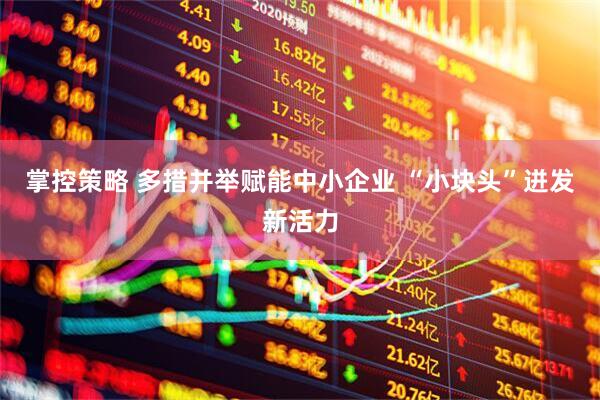 掌控策略 多措并举赋能中小企业 “小块头”迸发新活力
