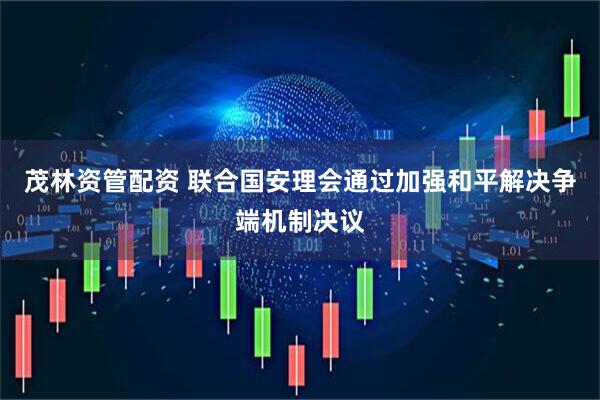茂林资管配资 联合国安理会通过加强和平解决争端机制决议