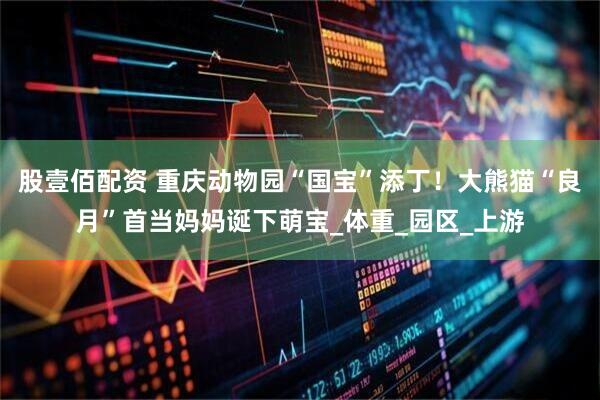 股壹佰配资 重庆动物园“国宝”添丁！大熊猫“良月”首当妈妈诞下萌宝_体重_园区_上游