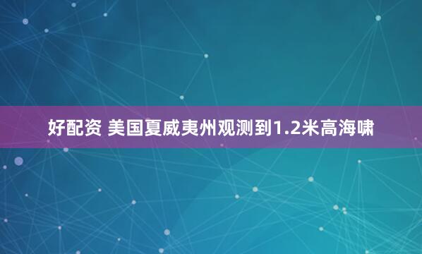 好配资 美国夏威夷州观测到1.2米高海啸